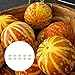 foto Steelwingsf Gartenblumenkerne Zum Pflanzen Im Freien, 10 Stück/Beutel Tigger Melonensamen Geschmackvolle, Nahrhafte, Jährliche Cucurbita-Gemüsesamen Für Den Bauernhof Kürbiskerne 2022-2021