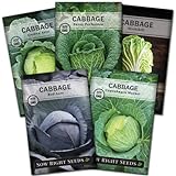 photo: You can buy Sow Right Seeds - Cabbage Seed Collection for Planting - Savoy, Red Acre, Golden Acre, Copenhagen Market, and Michihili (Napa) Cabbages, Instructions to Plant and Grow a Non-GMO Heirloom Home Garden online, best price $10.99 new 2024-2023 bestseller, review