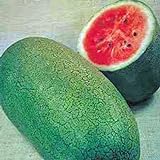 photo: You can buy Watermelon, Charleston Grey, Heirloom,100 Seeds, Large online, best price $2.99 ($0.03 / Count) new 2024-2023 bestseller, review