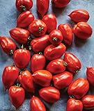 photo: You can buy Burpee 'Big Mama' Hybrid | Large Red Paste Tomato | 50 Seeds online, best price $7.47 ($0.15 / Count) new 2024-2023 bestseller, review