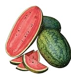 photo: buy Burpee Mama's Girl Watermelon Seeds 25 seeds online, best price $9.11 new 2022-2021 bestseller, review