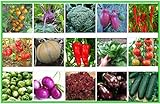 foto: jetzt Gemüse Set 2: Broccoli Gurken Zwiebel Rosenkohl Kohlrabi Aubergine Salat Tomate Chili Paprika Melone Samen Saatgut Online, bester Preis 6,95 € neu 2024-2023 Bestseller, Rezension
