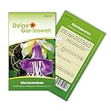 foto: jetzt Glockenreben Violett Blue Samen - Cobaea scandens - Glockenrebensamen - Blumensamen - Saatgut für 8 Pflanzen Online, bester Preis 2,19 € (0,27 € / stück) neu 2024-2023 Bestseller, Rezension