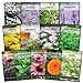 photo Sow Right Seeds - Large Medicinal Herb Seed Collection for Planting - Lemon Balm, Lavender, Yarrow, Echinacea, Anise, Lovage, Chamomile, Calendula, Bergamot & More - Non-GMO Heirloom 2024-2023