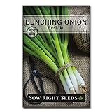 photo: You can buy Sow Right Seeds - Heshiko Bunching Japanese Green Onion Seeds for Planting - Non-GMO Heirloom Seeds with Instructions to Plant and Grow a Kitchen Garden, Indoor or Outdoor; Great Gardening Gift online, best price $5.99 new 2024-2023 bestseller, review