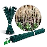 foto: comprar Novatool 100 varillas de madera de bambú, 70 cm x 6 mm, color verde, para plantas on-line, mejor precio 19,95 € nuevo 2024-2023 éxito de ventas, revisión
