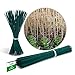 foto Novatool 100 varillas de madera de bambú, 70 cm x 6 mm, color verde, para plantas 2024-2023