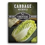 photo: You can buy Survival Garden Seeds - Michihili Napa / Nappa Cabbage Seed for Planting - Pack with Instructions to Plant and Grow Brassica Vegetables in Your Home Vegetable Garden - Non-GMO Heirloom Variety online, best price $4.99 new 2024-2023 bestseller, review
