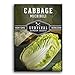 photo Survival Garden Seeds - Michihili Napa / Nappa Cabbage Seed for Planting - Pack with Instructions to Plant and Grow Brassica Vegetables in Your Home Vegetable Garden - Non-GMO Heirloom Variety 2024-2023