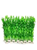 photo: You can buy BEGONDIS 14 Pcs Artificial Green Seaweed Water Plants, Fish Tank Aquarium Decorations, Made of Soft Plastic online, best price $13.99 new 2024-2023 bestseller, review