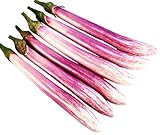photo: You can buy Chinese, Eggplant Seed - The Bride - 300 Heirloom Seeds - Non GMO - Neonicotinoid-Free online, best price $9.99 new 2024-2023 bestseller, review