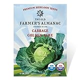 photo: You can buy The Old Farmer's Almanac Heirloom Cabbage Seeds (Golden Acre) - Approx 950 Seeds online, best price $4.29 ($0.00 / Count) new 2024-2023 bestseller, review