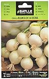 foto: comprar Cebolla Blanca de la REINA on-line, mejor precio 1,60 € nuevo 2024-2023 éxito de ventas, revisión