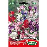 foto: comprar Germisem Pastel Dream Mix Semillas de Guisantes Dulces 1.5 g on-line, mejor precio 2,70 € nuevo 2024-2023 éxito de ventas, revisión