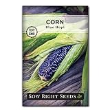 photo: You can buy Sow Right Seeds - Blue Hopi Corn Seed for Planting - Non-GMO Heirloom Packet with Instructions to Plant and Grow an Outdoor Home Vegetable Garden - Great for Blue Corn Flour - Wonderful Gardening Gift online, best price $4.99 new 2024-2023 bestseller, review