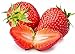 photo Strawberry Seeds for Planting in Your Indoor or Outdoor Garden: Non-GMO,Non-Hybrid,Heirloom and Organic (100PCS) 2024-2023