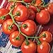 photo Burpee 'Fourth of July' Hybrid | Red Slicing Tomato | 50 Seeds 2024-2023