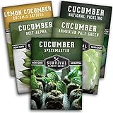 photo: You can buy Survival Garden Seeds Cucumber Collection - Mix of Armenian, Beit Alpha, Lemon, National Pickling, & Spacemaster Seed Packets to Grow Vining Vegetables on The Homestead - Non GMO Heirloom Seed Vault online, best price $10.99 new 2024-2023 bestseller, review
