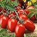 foto Semilla de fruta fresca con 80pcs / bolsa Semilla de tomate rara Intolerante frío Fruta jugosa Nutritiva Semilla de tomate rara para plantar Garden Yard Home Landscaping 2024-2023