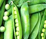 photo: You can buy 50 Lincoln Pea Seeds | Non-GMO | Fresh Garden Seeds online, best price $6.95 new 2024-2023 bestseller, review