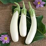 photo: You can buy David's Garden Seeds Eggplant Casper 3411 (White) 50 Non-GMO, Open Pollinated Seeds online, best price $4.45 new 2024-2023 bestseller, review
