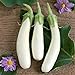 photo David's Garden Seeds Eggplant Casper 3411 (White) 50 Non-GMO, Open Pollinated Seeds 2023-2022