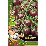 foto: comprar Semillas ecológicas de Tomate Black Cherry on-line, mejor precio 4,42 € nuevo 2024-2023 éxito de ventas, revisión