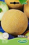 foto: jetzt Germisem Melone GALIA F1, mehrfarbig, EC5004 Online, bester Preis 3,68 € neu 2024-2023 Bestseller, Rezension