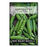 photo: You can buy Sow Right Seeds - Sugar Snap Pea Seed for Planting - Non-GMO Heirloom Packet with Instructions to Plant a Home Vegetable Garden online, best price $5.49 new 2024-2023 bestseller, review