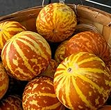photo: You can buy 20 Rare Tigger Melon Seeds | Exotic Garden Fruit Seeds to Plant | Sweet Exotic Melons, Grow and Eat online, best price $8.98 ($0.45 / Count) new 2024-2023 bestseller, review