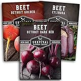 photo: You can buy Survival Garden Seeds Beet Collection Seed Vault - Detroit Red, Detroit Golden, Cylindra Beets - Delicious Root & Green Leafy Veggies - Non-GMO Heirloom Survival Garden Vegetable Seeds for Planting online, best price $8.99 new 2024-2023 bestseller, review
