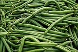 photo: You can buy Blue Lake Pole Bean Seeds - Non-GMO - 2 ounces, approximately 175 seeds online, best price $6.99 new 2024-2023 bestseller, review