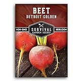 photo: You can buy Survival Garden Seeds - Detroit Golden Beet Seed for Planting - Packet with Instructions to Plant and Grow Sweet Yellow Root Vegetables in Your Home Vegetable Garden - Non-GMO Heirloom Variety online, best price $4.99 new 2024-2023 bestseller, review