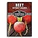 photo Survival Garden Seeds - Detroit Golden Beet Seed for Planting - Packet with Instructions to Plant and Grow Sweet Yellow Root Vegetables in Your Home Vegetable Garden - Non-GMO Heirloom Variety 2024-2023