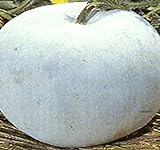 photo: You can buy Big Pack - (100) Winter Melon Round, Wax Gourd Seeds - Tong Qwa - Used in Asian Soup Dishes - Non-GMO Seeds by MySeeds.Co (Big Pack - Wax Gourd) online, best price $12.89 ($0.13 / Count) new 2024-2023 bestseller, review