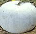 photo Big Pack - (100) Winter Melon Round, Wax Gourd Seeds - Tong Qwa - Used in Asian Soup Dishes - Non-GMO Seeds by MySeeds.Co (Big Pack - Wax Gourd) 2024-2023