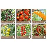 foto: jetzt Samenliebe BIO Cherrytomaten Samen Set mit 6 samenfesten Gemüsesamen Sorten für Gewächshaus Freiland und Balkon Tomaten BIO Gemüse Saatgut Online, bester Preis 15,99 € (2,66 € / stück) neu 2024-2023 Bestseller, Rezension
