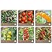 foto Samenliebe BIO Cherrytomaten Samen Set mit 6 samenfesten Gemüsesamen Sorten für Gewächshaus Freiland und Balkon Tomaten BIO Gemüse Saatgut 2024-2023