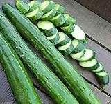 photo: You can buy Japanese Long Burpless Cucumber Seeds - Sooyow Nishiki Green Non-GMO (25 - Seeds) online, best price $4.49 new 2024-2023 bestseller, review