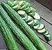photo Japanese Long Burpless Cucumber Seeds - Sooyow Nishiki Green Non-GMO (25 - Seeds) 2022-2021