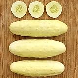 photo: You can buy Silver Slicer Cucumber Seeds (25+ Seeds)(More Heirloom, Organic, Non GMO, Vegetable, Fruit, Herb, Flower Garden Seeds (25+ Seeds) at Seed King Express) online, best price $3.69 new 2024-2023 bestseller, review