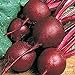photo Beets,Ruby Queen, Heirloom, Non GMO, 25+ Seeds, Tender and Sweet, DEEP RED, Country Creek Acres 2023-2022