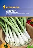 foto: jetzt Kiepenkerl Zwiebeln Winterhecke Online, bester Preis 2,44 € neu 2024-2023 Bestseller, Rezension