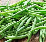 photo: You can buy Blue Lake Bush Green Bean Seeds, 50+ Heirloom Seeds Per Packet, Non GMO Seeds, (Isla's Garden Seeds), Botanical Name: Phaseolus vulgaris online, best price $6.25 ($0.12 / Count) new 2024-2023 bestseller, review