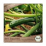 foto: jetzt Samenliebe BIO Zucchini Samen Diamant grün 10 Samen samenfestes Gemüse Saatgut für Gewächshaus Freiland und Balkon BIO Gemüsesamen Online, bester Preis 3,49 € neu 2024-2023 Bestseller, Rezension