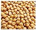 photo Garbanzo Bean Seeds - Chickpea Seeds - 30+ Seeds 2024-2023