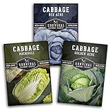 photo: You can buy Cabbage Collection Seed Vault - Non-GMO Heirloom Survival Garden Seeds for Planting - Red Acre, Golden Acres, and Michihili (Napa) Cabbage Seed Packets to Grow Your Own Healthy Cruciferous Vegetables online, best price $8.99 new 2024-2023 bestseller, review