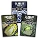 photo Cabbage Collection Seed Vault - Non-GMO Heirloom Survival Garden Seeds for Planting - Red Acre, Golden Acres, and Michihili (Napa) Cabbage Seed Packets to Grow Your Own Healthy Cruciferous Vegetables 2023-2022
