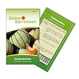 foto: jetzt Zuckermelonen Charentais Samen - Cucumis melo - Melonensamen - Obstsamen - Saatgut für 15 Pflanzen Online, bester Preis 1,99 € (0,13 € / stück) neu 2024-2023 Bestseller, Rezension