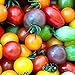 foto 100 piezas de semillas de tomate de cereza arcoíris de semillas de tomate enano de herencia colorida para plantar el jardín de su casa 2024-2023